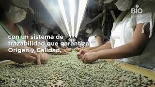 Gavilán Coffee: mucho más que un buen café – Honduras