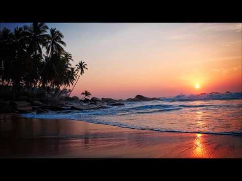 3 HOURS Relaxing Chill out Instrumental Shaxophone music Beautiful Long Playlist | Background music