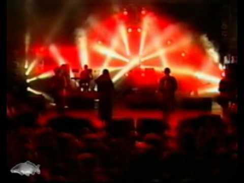 C.S.I. - Forma e sostanza (Live)