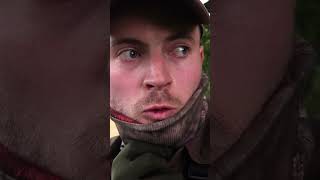 Der Wunderwald von  ⁨@jagdkrone⁩