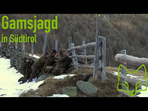 Gamsjagd in Südtirol