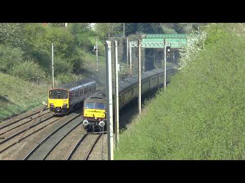 47802 Bee Lane 21.04.22