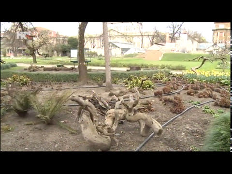 Treći element S03E25 - Molekularna biologija biljaka