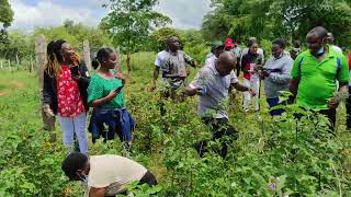 Download lagu KISAU-KITETA EMPOWERMENT FORUM ENJOY A TREE PLANTING EXERCISE AT KAKUSWI SPECIL SCHOOOL mp3 Download lagu KISAU-KITETA EMPOWERMENT FORUM ENJOY A TREE PLANTING EXERCISE AT KAKUSWI SPECIL SCHOOOL mp3