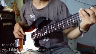 Video thumbnail for fender precision american special bass with D'Addario black nylon tapewound strings by Bassboi's Garage