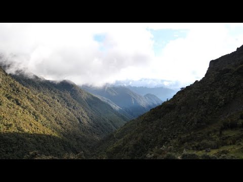 3 Days Solo Trekking in Los Nevados National Park, Colombia