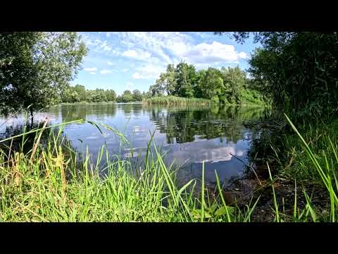 Wyciszanka nad Stawem 🌿 Relaksująca, Przytulna Muzyka | 4K Nature Sounds
