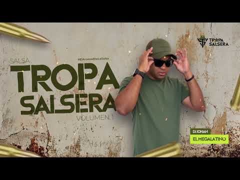 SALSA TROPA SALSERA VOL.1 DJ JOHAN ELMEGALATINO #capcut #salsa #baul #parati #tiktok #viral 