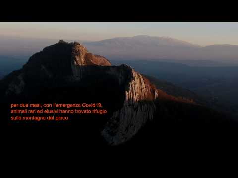 Parco nazionale del Gran Sasso e Monti della Laga: torna l’orso bruno