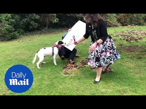 Lottery winner's dog knocks him over during photoshoot