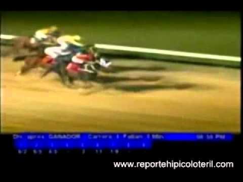 Resumen Jueves 20 de Octubre de 2011 - Valencia