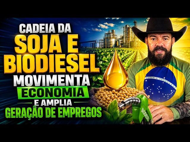 Cadeia da soja e biodiesel movimenta economia e amplia geração de empregos.