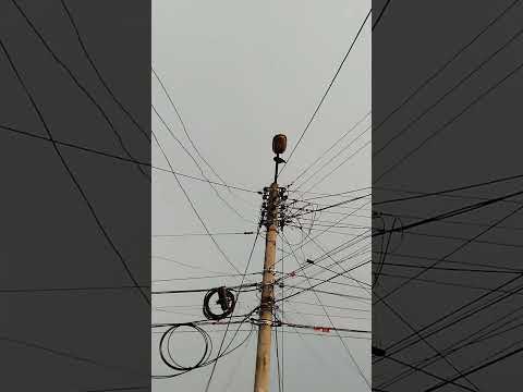 los garrapateros dándose un vuelto por la tierra de los grandes, Chaparral Tolima 💯❤️💯