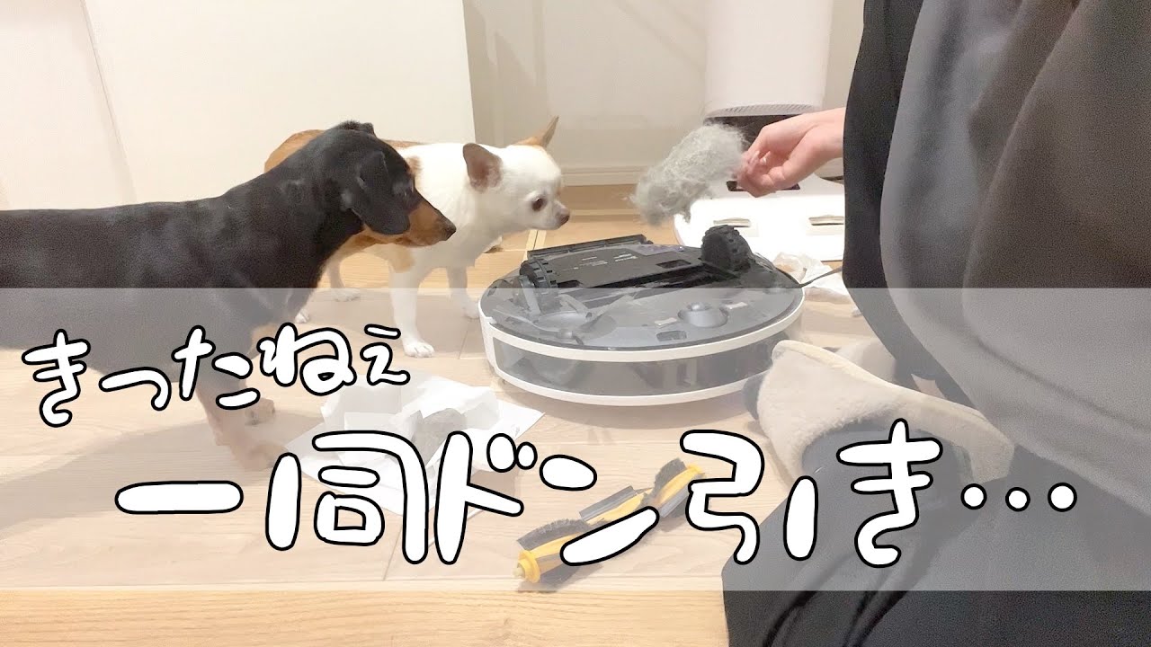 掃除機を掃除機で掃除します