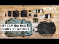 What's in My Camera Bag 2020: Wildlife Photography Gear | Colby Brown | Sony Alpha