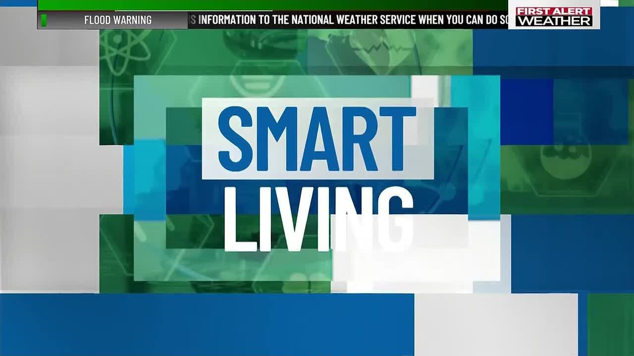 Digital Dangers (Smart Living)