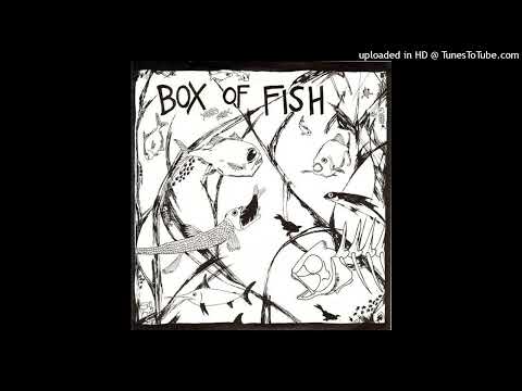 Thumbnail for BOX OF FISH 'Erosion' 7" 1983 2 tracks (FULL/COMPLETE) Classic Rare Australia Punk Rock