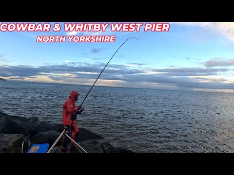 COD FISHING IN NORTH YORKSHIRE | MIXED BAG AT COW BAR AND WHITBY WEST PIER | SEA FISHING UK