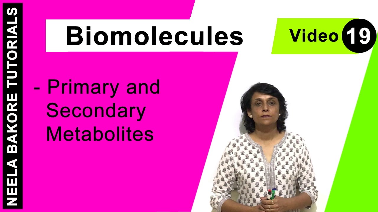Biomolecules | NEET | Primary and Secondary Metabolites | Neela Bakore Tutorials