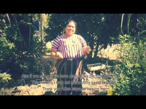 Fight Malnutrition in Rural Guatemala