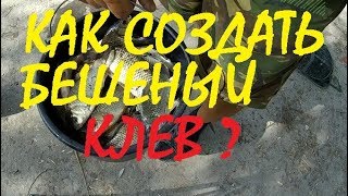 Как муку из кукурузы для рыбалки