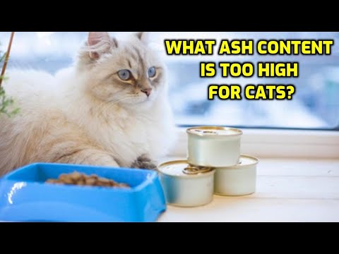 What Is A Safe Amount Of Ash In Cat Food?