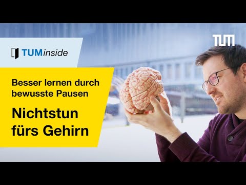 Time out for the brain: Why we need breaks to learn better | TUMinside