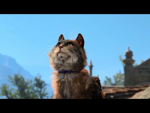 Baldur's Gate 3 - Meeting Tara The Tressym without Gale