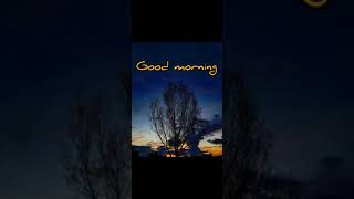 Download lagu Story' wa ucapan selamat pagi. mp3