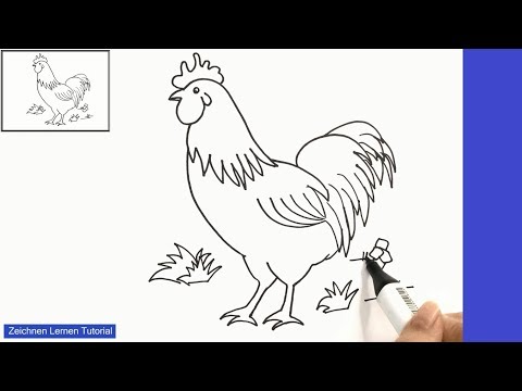 Huhn zeichnen lernen einfach schritt für schritt für anfänger 16 – Zeichnen lernen tutorial