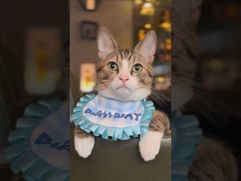 화재의 그영상. 앗찌 1주년 생일