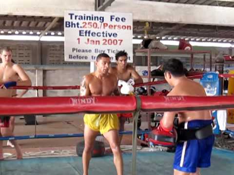 Sasa jovanovic brodica fighter