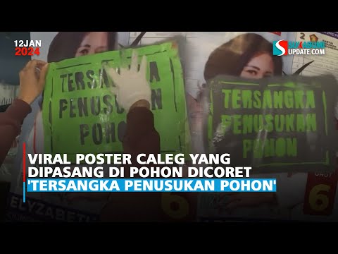 Viral Poster Caleg yang Dipasang di Pohon Dicoret 'Tersangka Penusukan Pohon'