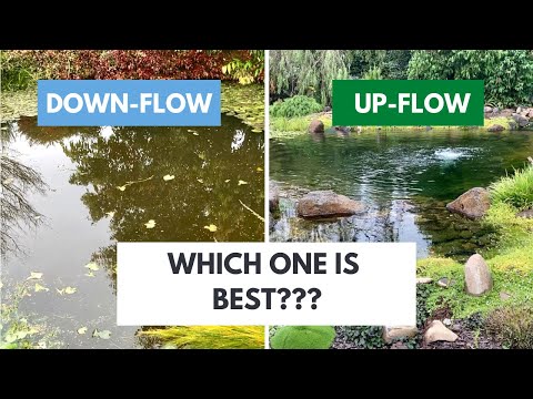 Up-flow bog filter vs down-flow bog filter