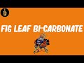 Fig Leaf Bi-Carbonate (Lyrics) - MF Doom