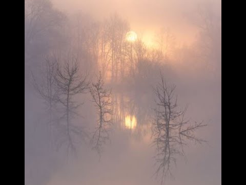 [FREE] Bladee x Ripsquad x Yung lean Type  Beat 2023 - "Famous"