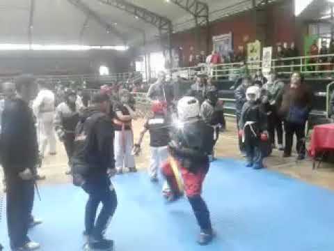 Carlos Carmona Combate Point Fight Torneo ITKS 2017