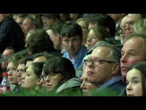 Bordeaux Hengstkollektion Englisch 2019