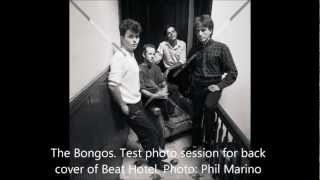 The Bongos - "Telephoto lens" live at Columbia University, 1983