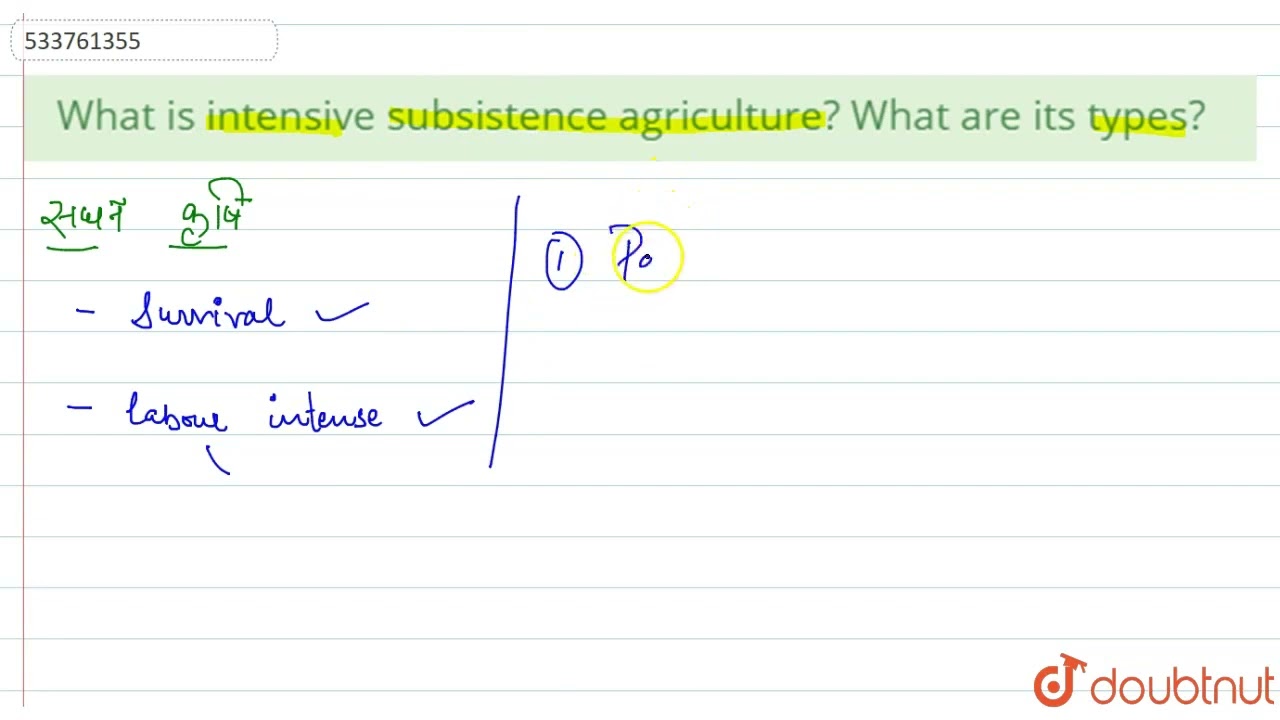 What is intensive subsistence agriculture? What are its types? | CLASS 12 | PRIMARY ACTIVITIES |...