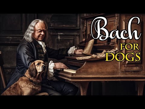 Classical Music for Dogs - Separation Anxiety Music for Dogs, Bach for Dogs, Dogs Music Therapy
