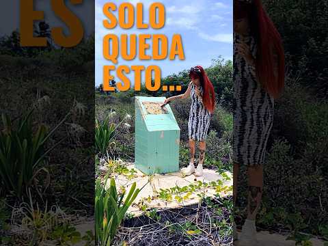 Esto queda del campamento de pioneros de Camagüey