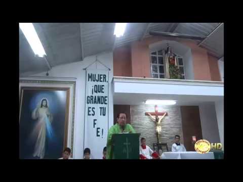 Evangelio y Homilia del dia Domingo 17 de Agosto del 2014