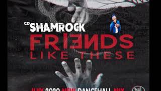 FRIENDS LIKE THESE / POPCAAN / JULY / NEW DANCEHALL MIX / 2020 /RYGIN KING / VYBZ KARTEL