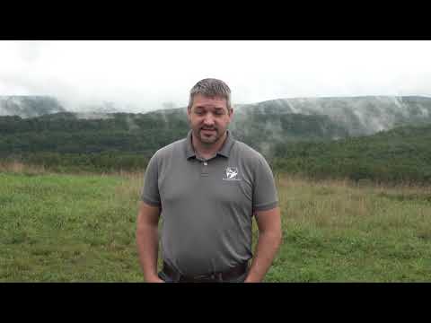 How to Safely View Pennsylvania Elk Herd