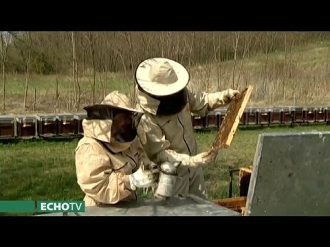 , title : 'Gazdafórum: Mit tehetünk a méhekért?'