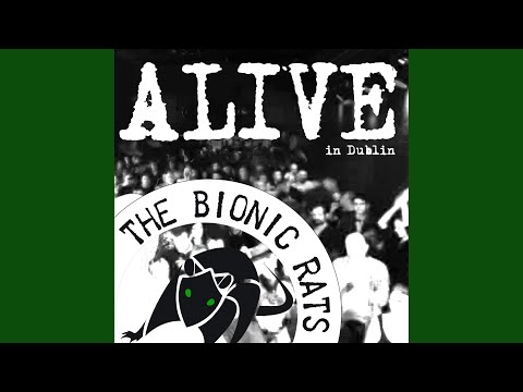 Twisted Little Bitter Little Fuckers (live)