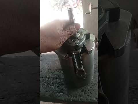 5 de novembro de 2025