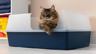 IRIS USA Large Cat Litter Box with Scatter Shield and Scoop Review