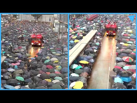 ATOS DE BONDADE QUE IRÃO RESTAURAR SUA FÉ NA HUMANIDADE